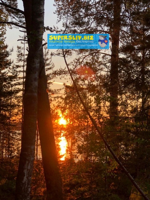 [Юлия Бокачева] С тобой всё в порядке! (2019)_0.jpg